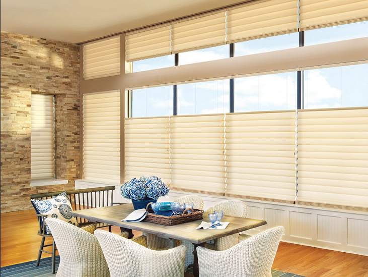 Hunter Douglas Vignette